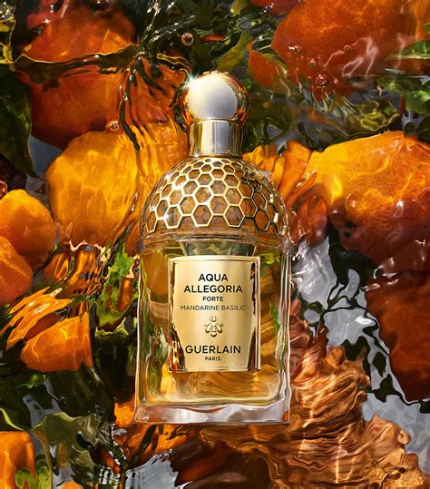 guerlain perfume aqua allegoria ginger piccante|aqua allegoria mandarine basilic forte.